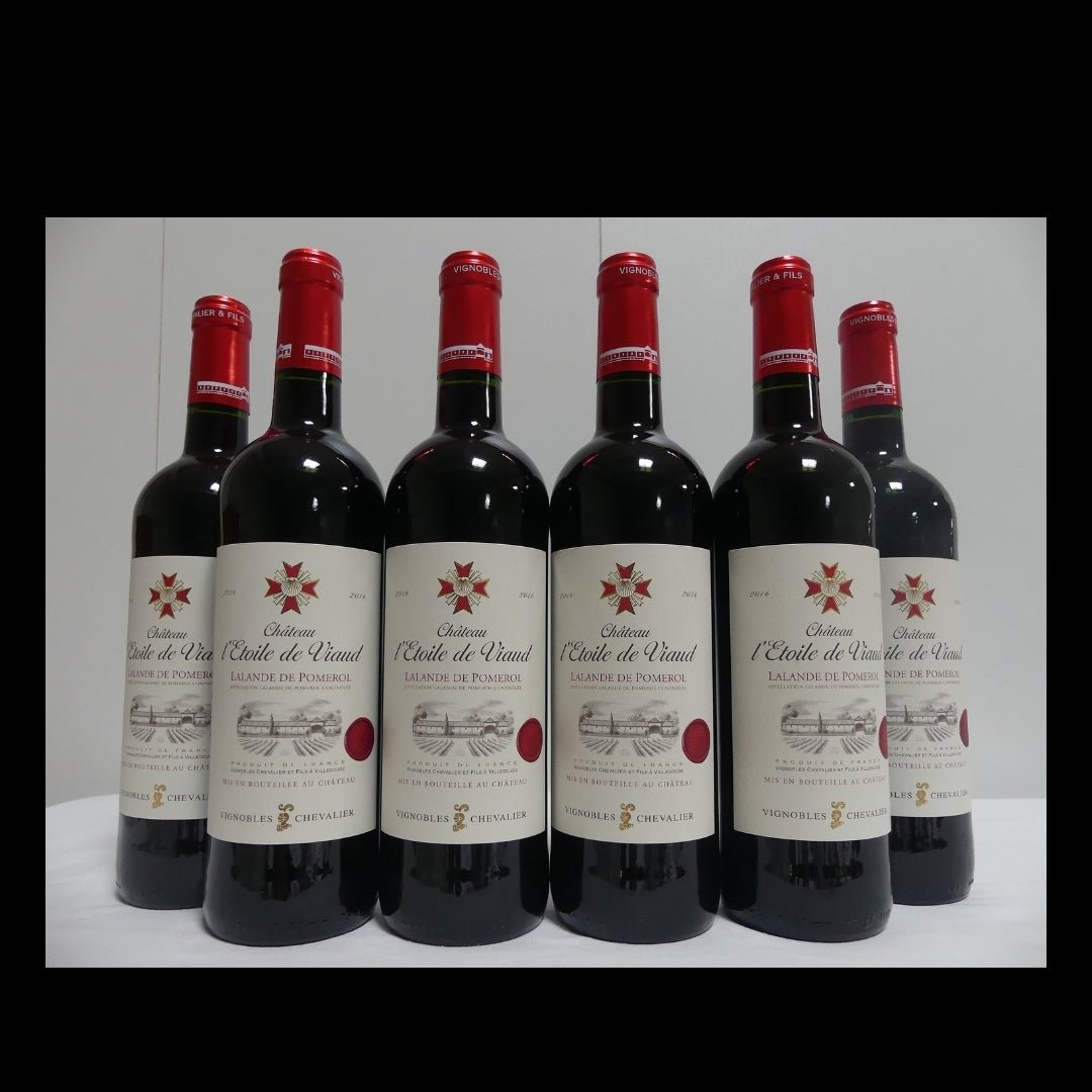 Château L'Étoile de Viaud - Bordeaux 2019 (0,750L)